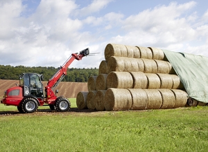 Wm_image_3080t_ballenspiess_p3a1926_action