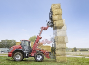 Wm_image_9580t_ballenzange_qk8a1373_sequenz_action