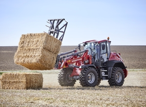 Wm_image_9080_grossballengabel_6y4a7300_action_copy