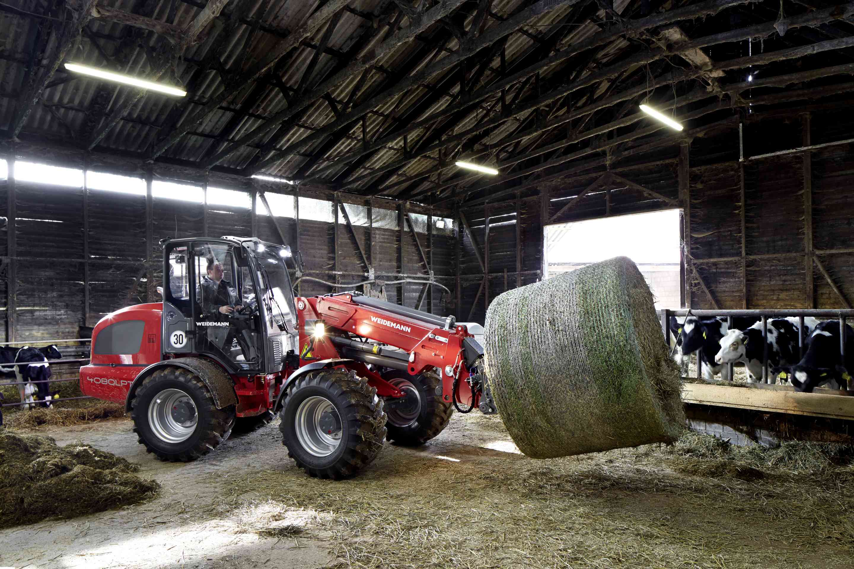 Wm_image_4080lpt_ballenspiess_p3a9709_action