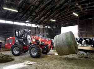 Wm_image_4080lpt_ballenspiess_p3a9709_action