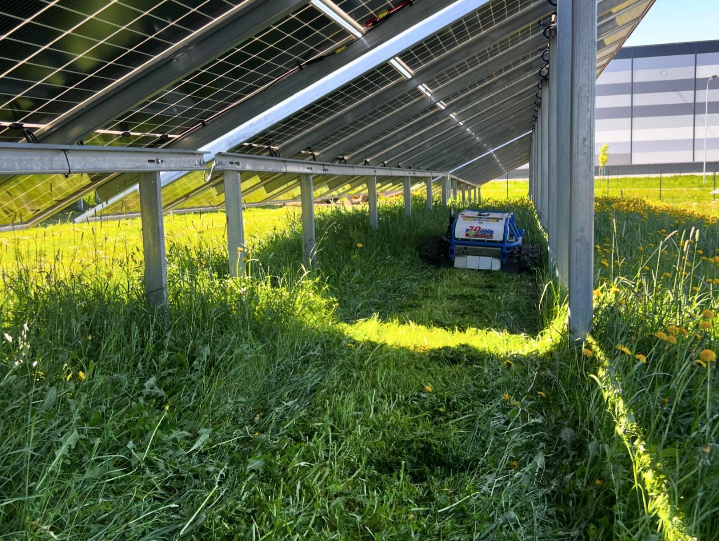 442494749_17924044601874856_8807463788113182276_n