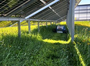 442494749_17924044601874856_8807463788113182276_n